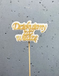 PIK DZIĘKUJEMY ZA WIEDZĘ (LUSTRO) (10szt.)