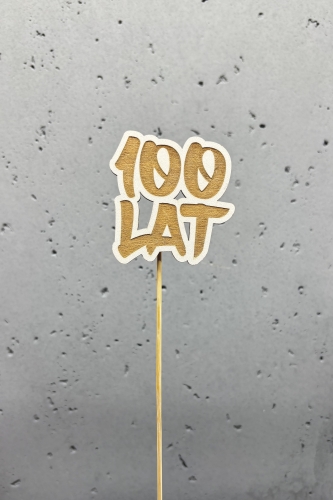 100 LAT.jpeg