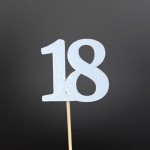 PIK LICZBA (10szt.)
